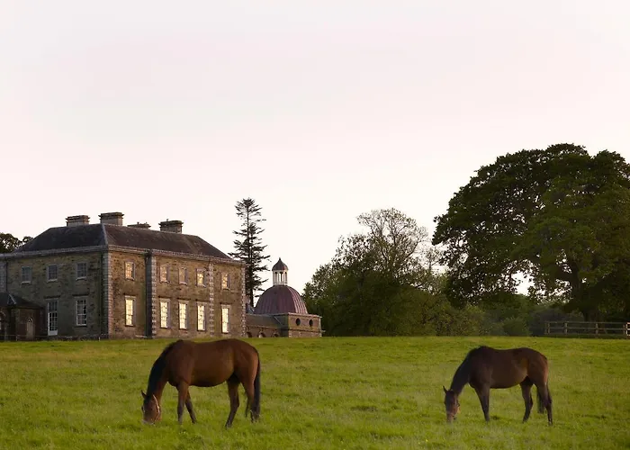 The Courtyard Kilshannig 게스트하우스 페르모이