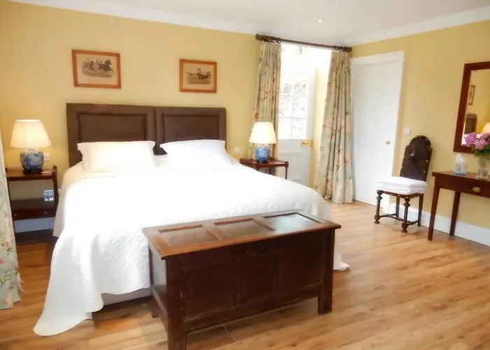 게스트하우스 The Courtyard Kilshannig